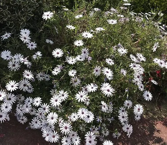 Casinhas Do Ribeiro Σπίτι διακοπών Póvoa de Lanhoso