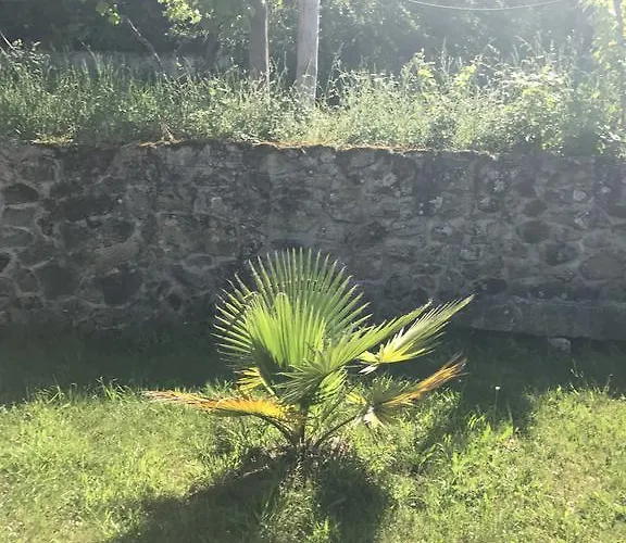 Casinhas Do Ribeiro Póvoa de Lanhoso